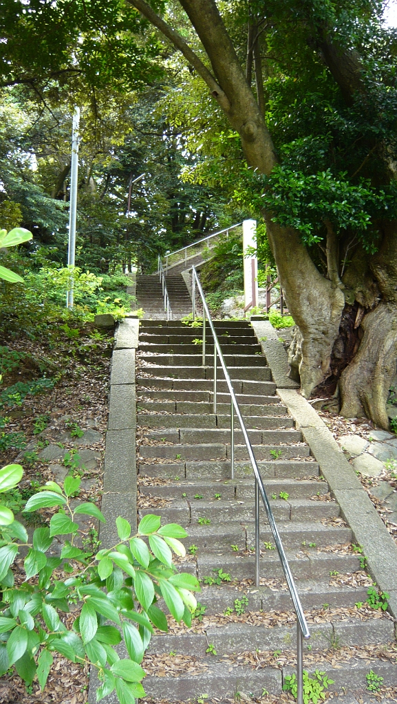 p1010725.jpg - A stairway in the park